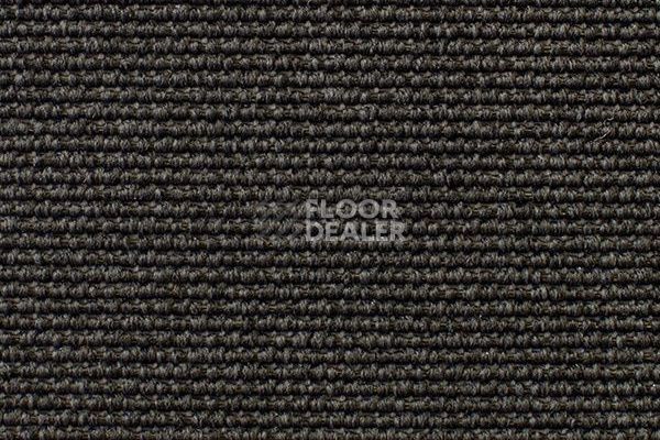 Ковролин Carpet Concept Eco Iqu 54444 фото 1 | FLOORDEALER
