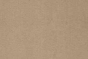 Ковролин Balta ITC Prominent 37 фото  | FLOORDEALER