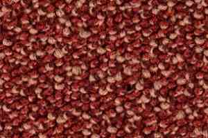 Ковролин Balsan Kaviar 580 фото  | FLOORDEALER