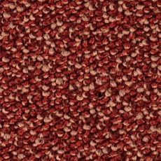 Ковролин Balsan Kaviar 580 фото 1 | FLOORDEALER