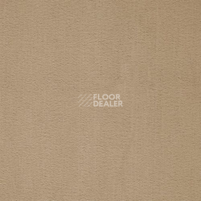 Ковролин Balta ITC Prominent 37 фото 1 | FLOORDEALER