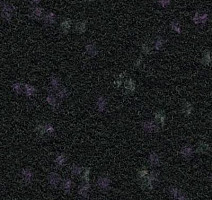 Ковролин Finett Vision Focus 985573 фото 1 | FLOORDEALER