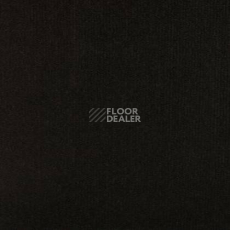 Ковролин Tapibel Secura 4822 фото 1 | FLOORDEALER