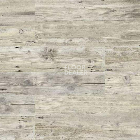 Wood LARCH WASHED фото 4 | FLOORDEALER