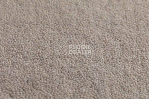 Ковролин Jacaranda Carpets Jaspur Mist фото 1 | FLOORDEALER