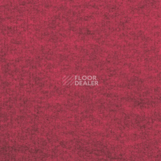 Ковролин Tarkett Ekonomik Plus EKONOMIK PLUS 776EP фото 1 | FLOORDEALER