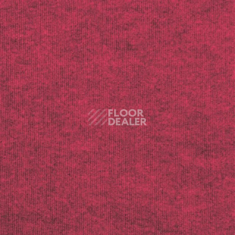 Ковролин Tarkett Ekonomik Plus EKONOMIK PLUS 776EP фото 1 | FLOORDEALER