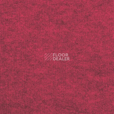 Ковролин Tarkett Ekonomik Plus EKONOMIK PLUS 776EP фото 1 | FLOORDEALER