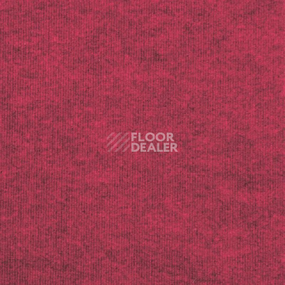 Ковролин Tarkett Ekonomik Plus EKONOMIK PLUS 776EP фото 1 | FLOORDEALER