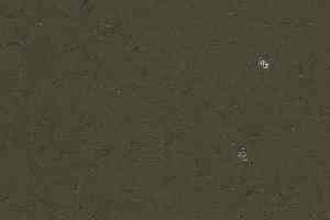 Кварцвиниловые полы Forbo Allura Colour C68027 фото  | FLOORDEALER