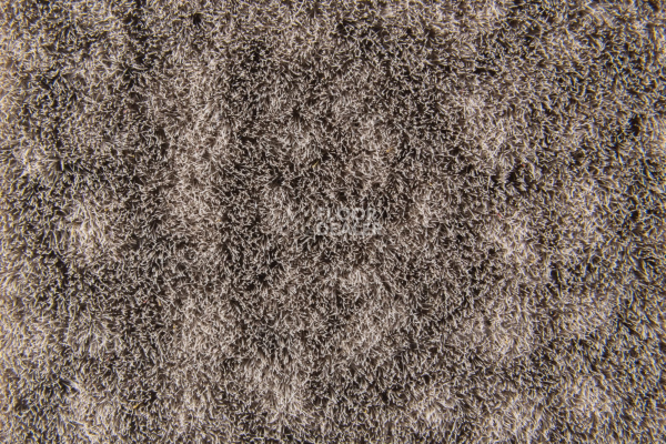 Flotex Colour Metro 5050 t 546011 Metro Pebble фото 4 | FLOORDEALER