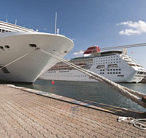 Tarkett Primo Plus M