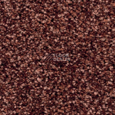 Ковролин Balsan Feelings 780 фото 1 | FLOORDEALER