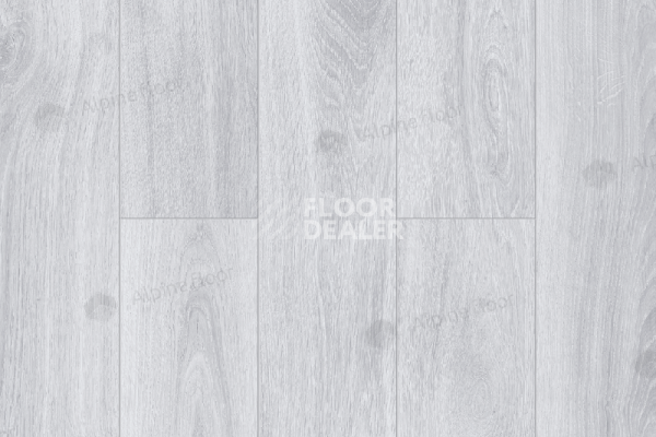 Ламинат Alpine Floor Albero 10мм A1020 ДУБ АРКТИК фото 1 | FLOORDEALER