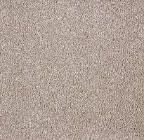 Ковролин Big Faye 396 фото 1 | FLOORDEALER