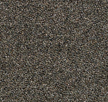 Ковровая плитка Westbond Natural w 12795U фото 1 | FLOORDEALER