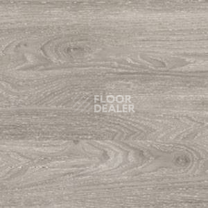 Линолеум Polyflor Expona Wood 6182 фото 1 | FLOORDEALER