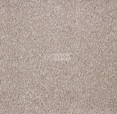 Ковролин Big Faye 396 фото 1 | FLOORDEALER