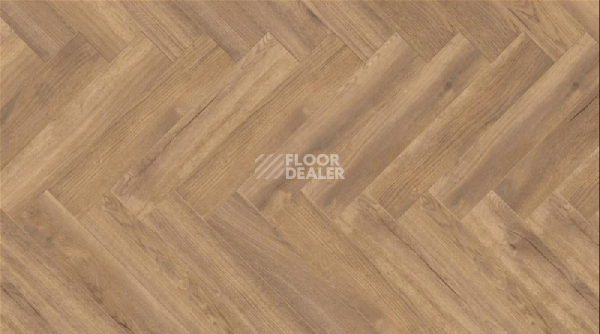 Ламинат Kronotex Herringbone 8мм d4764 Дуб Тревизо фото 1 | FLOORDEALER