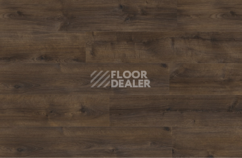Moduleo Roots 0.55 EIR дерево GALWAY OAK 87863Q фото 2 | FLOORDEALER