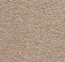 Ковролин AW Raffles 34 фото 1 | FLOORDEALER