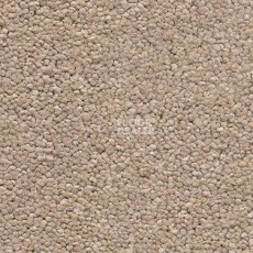 Ковролин AW Raffles 34 фото 1 | FLOORDEALER