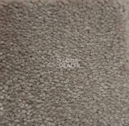 Ковролин Condor Carpets Chablis 106 фото 1 | FLOORDEALER