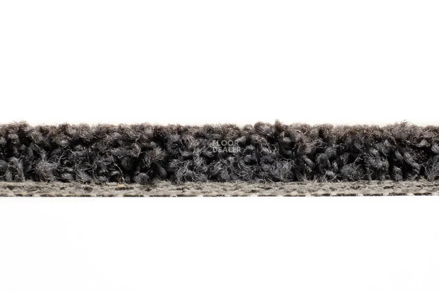 Vorwerk Exclusive1009/Elara 9e05 фото 4 | FLOORDEALER