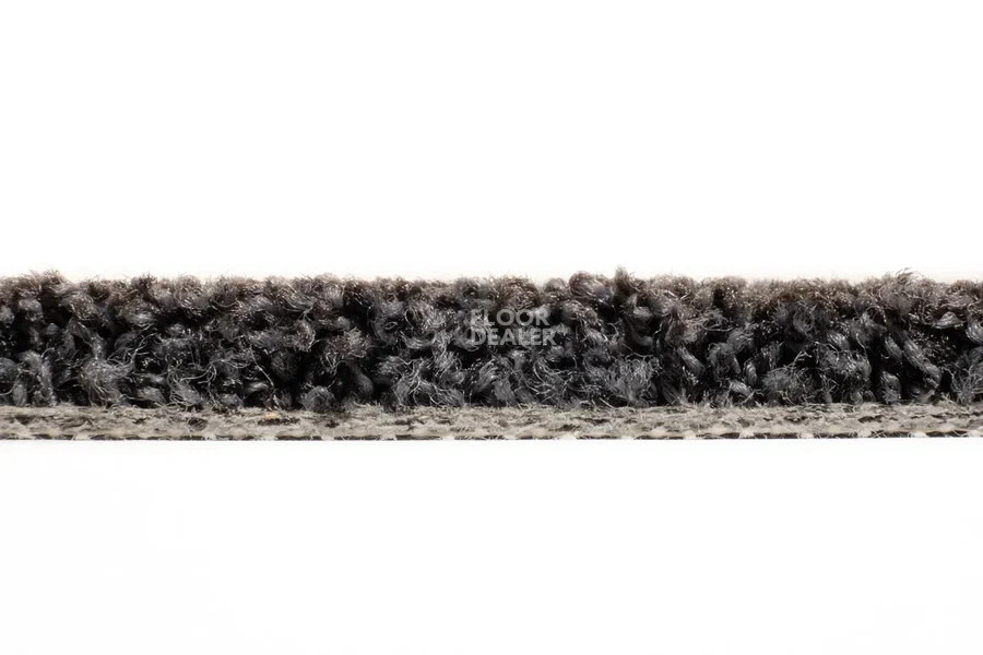 Vorwerk Exclusive1009/Elara 9e05 фото 4 | FLOORDEALER
