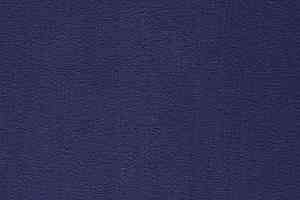 Ковролин Balta ITC Prominent 78 фото  | FLOORDEALER