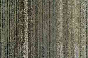 Ковровая плитка Interface Chenille Warp 309313 Repetitions фото  | FLOORDEALER