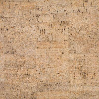 Линолеум Novoflor Standard 4650_1 фото 1 | FLOORDEALER