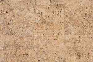 Линолеум Novoflor Standard 4650_1 фото  | FLOORDEALER