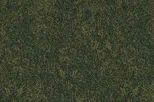 Ковролин Ege Highline Nature rf 5500692 фото  | FLOORDEALER