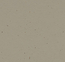 Линолеум Forbo Marmoleum Solid Cocoa 3596 hummus фото 1 | FLOORDEALER