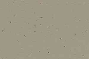 Линолеум Forbo Marmoleum Solid Cocoa 3596 hummus фото  | FLOORDEALER