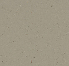 Линолеум Forbo Marmoleum Solid Cocoa 3596 hummus фото 1 | FLOORDEALER