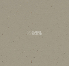 Линолеум Forbo Marmoleum Solid Cocoa 3596 hummus фото 1 | FLOORDEALER