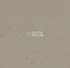 Линолеум Forbo Marmoleum Solid Cocoa 3596 hummus фото 1 | FLOORDEALER