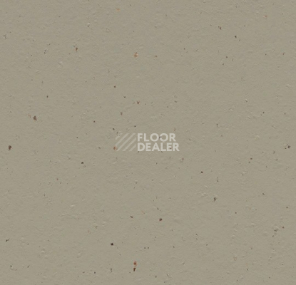 Линолеум Forbo Marmoleum Solid Cocoa 3596 hummus фото 1 | FLOORDEALER