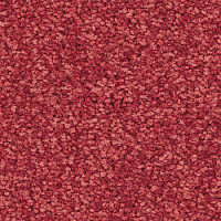 Ковролин Balsan First Class 550 фото 1 | FLOORDEALER