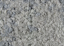 ColorKey ColorKey a 06 фото 2 | FLOORDEALER