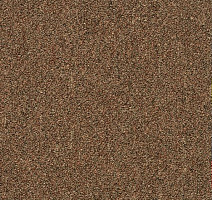 Ковровая плитка Shaw Momentum 02721 фото 1 | FLOORDEALER