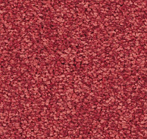 Ковролин Balsan First Class 550 фото 1 | FLOORDEALER