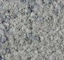 ColorKey ColorKey a 06 фото 2 | FLOORDEALER