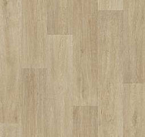 Линолеум Tarkett Status LEON2 фото 1 | FLOORDEALER