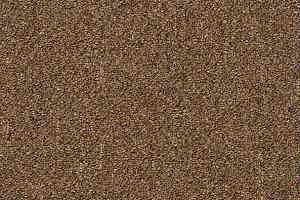 Ковровая плитка Shaw Momentum 02721 фото  | FLOORDEALER