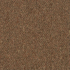 Ковровая плитка Shaw Momentum 02721 фото 1 | FLOORDEALER