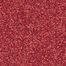 Ковролин Balsan First Class 550 фото 1 | FLOORDEALER