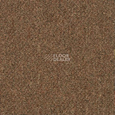 Ковровая плитка Shaw Momentum 02721 фото 1 | FLOORDEALER